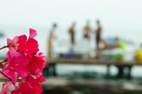 GARDA 2012
